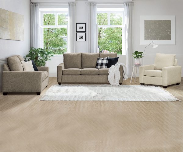 Dreamland Collection